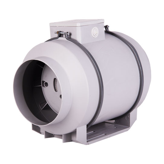 فن بین کانالی